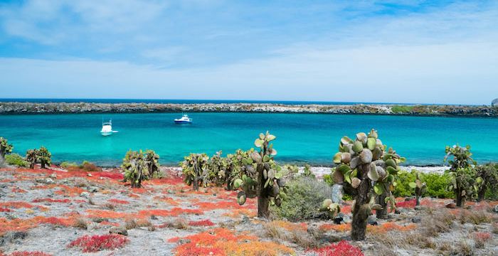 Charter a yacht to the Galapagos Islands